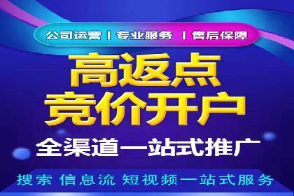 成功SEM投放案例分享